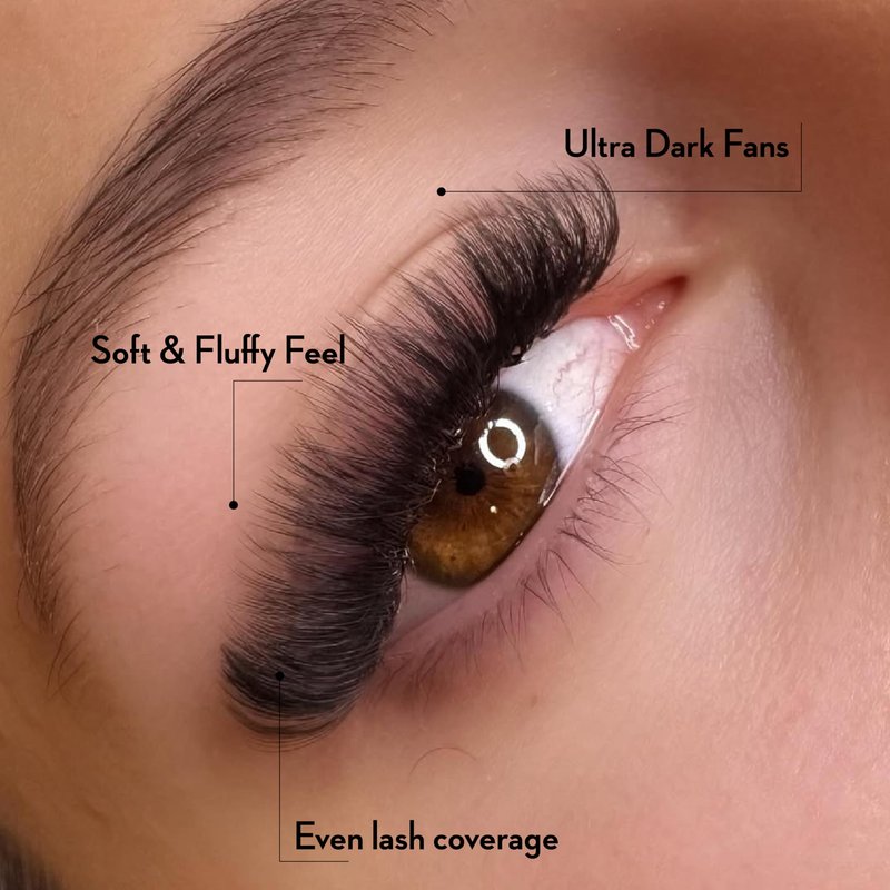 One V Salon Pro 10D Promade Loose Fans, 1000 Premade Mega Volume Lash Fans | D Curl | 0.05 mm | 8–15 mm Mixed Lengths | Thin Base, Hand-Crafted Eyelash Extensions(10D-0.05-D-Curl)