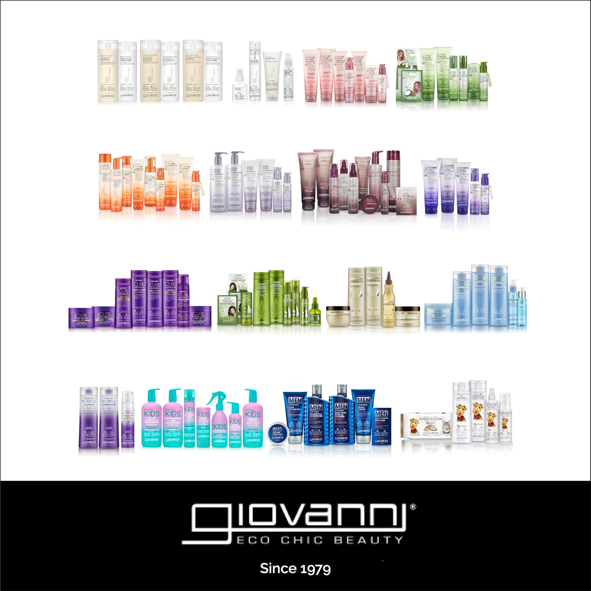 GIOVANNI 50:50 Balanced Hydrating Clarifying Shampoo, 33.8 oz. Leaves Hair pH Balanced & Clean, Ideal for Over-Processed, Stressed Hair, Can Use Daily, Sulfate & Paraben Free (Pack of 1)