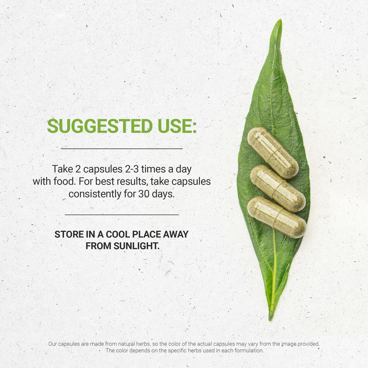 Secrets of the Tribe Boldo 120 Capsules, 1000 mg, Boldo (Peumus boldus) Dried Leaf (120 Capsules)