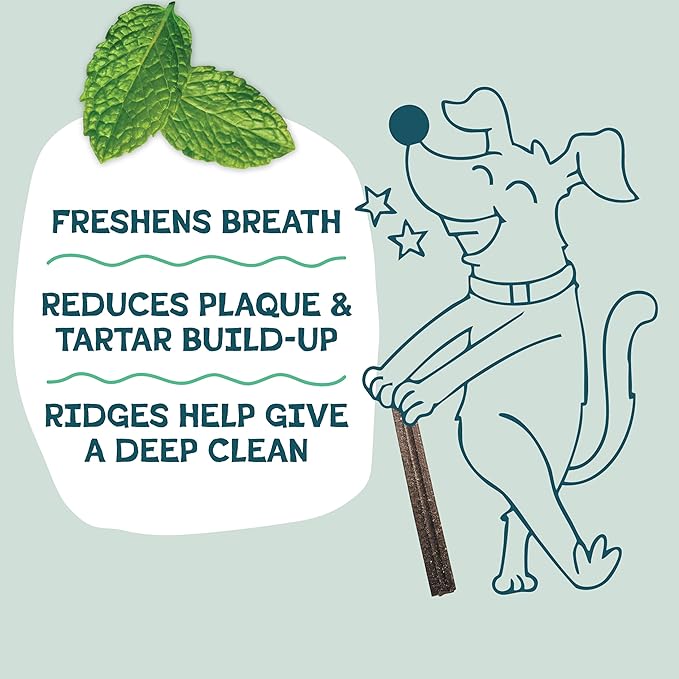 Shameless Pets Dental Treats for Dogs, A Cluck A Day - with Digestive Support for Teeth Cleaning & Fresh Breath - Dog Bones Dental Chews Free from Grain, Corn & Soy