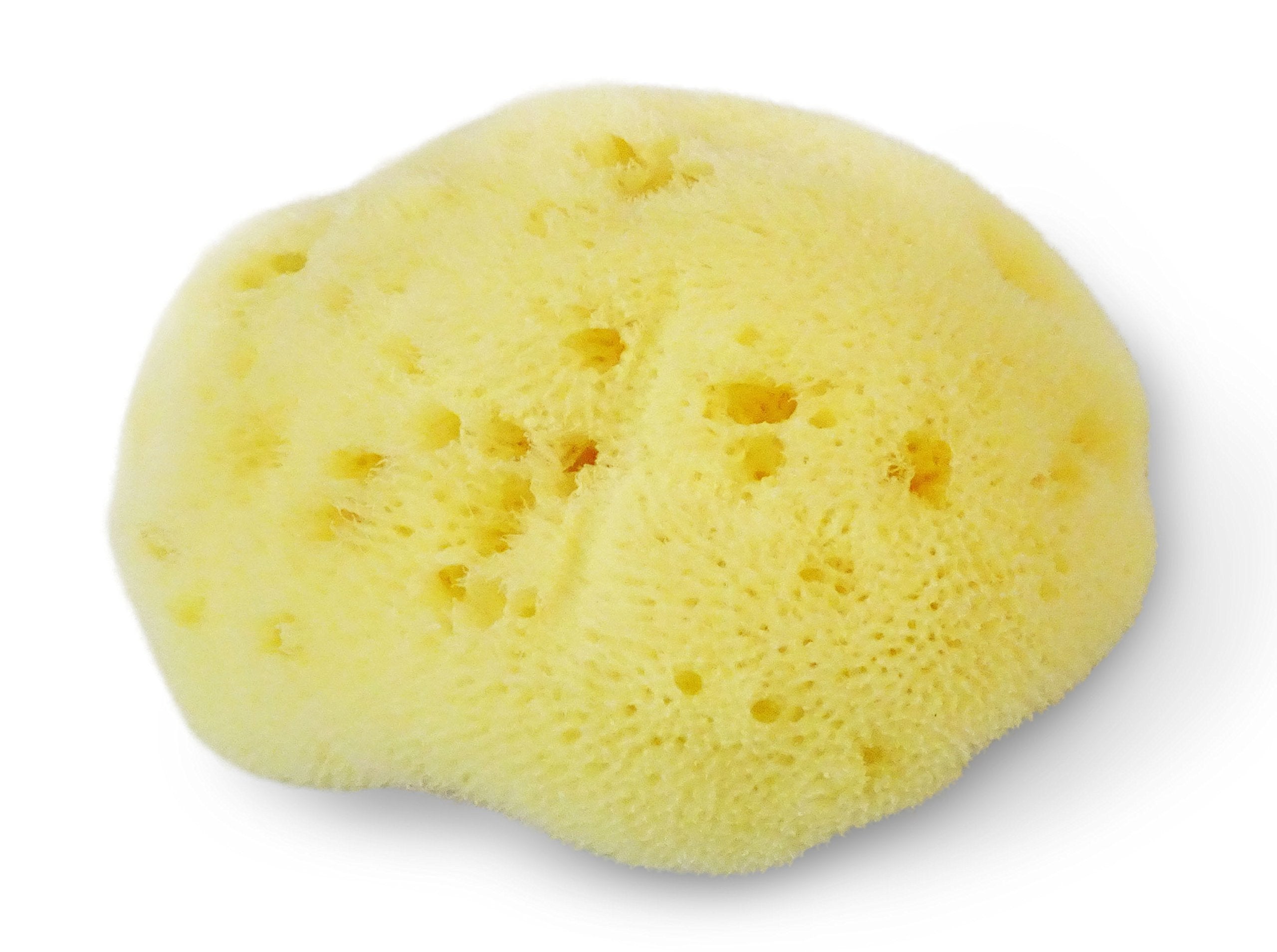 Constantia Beauty® Premium Natural FINA Silk Sponges - 2pc, 4"- 4.5" Luxury Softness on the Skin, from The Mediterranean, Fine Pores Sea Sponge Perfect for Make up, Facial Cleansing & Bathing