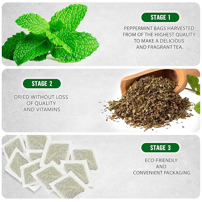 TeaDreamTea Peppermint Tea Bag - Mint tea - Herbal Tea - Mint Tea Bags - Healthy tea | Aromatic & Caffeine Free Tea (100 Teabags)