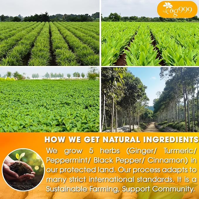 60 Tea Bags - Anti-Inflammaheb Loose Leaf Tea, 100% Natural from Ginger, Turmeric, Peppermint, Black Pepper, Cinnamon. Made with Natural Material Tea Bags. No Sugar, No Caffeine, No Gluten, Vegan. (60 Tea Bags)