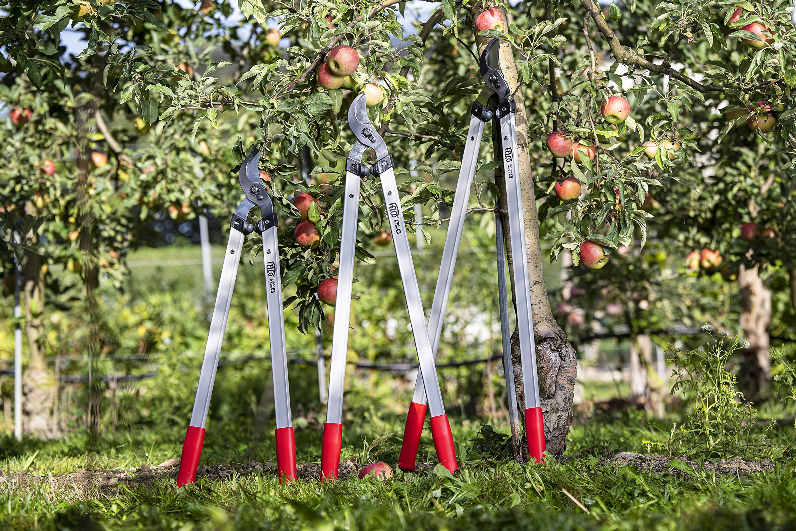 FELCO F221-90 Swiss Made Loppers for Gardening – 36" Lightweight Precision Loppers for Tree Trimming | Tree Branch Cutters | Tree Trimmer Tool with Curved Bypass Blade | I-Beam Handles | Orchard Reach