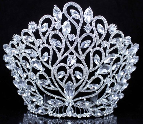 Janefashions Fancy Beauty Queen Crystal Rhinestone Tiara Crown With Hair Combs Wedding Bridal Beauty Contest Prom Pageant Silver Plated T994