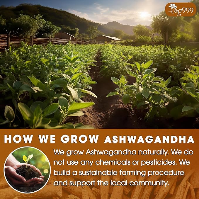 TOG999, Premium 60 Ashwagandha Root Tea Bags, 100% Natural & Pure, Ashwagandha Root Herbal Tea. No Sugar, No Caffeine, No Gluten, Vegan.