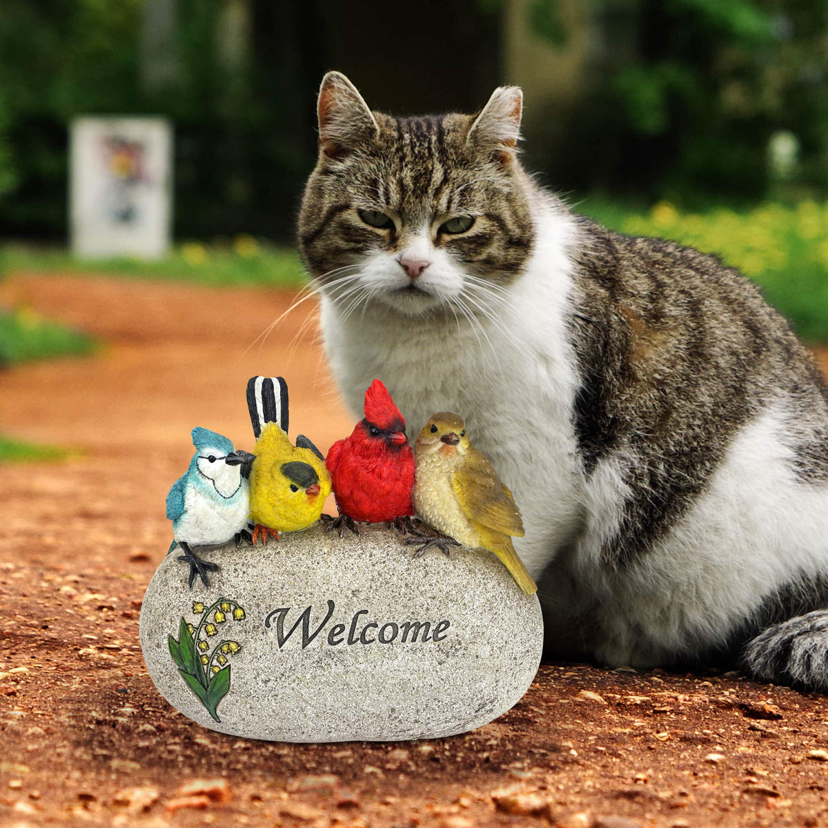 Design Toscano Birdy Welcome Garden Stone Statue: Medium