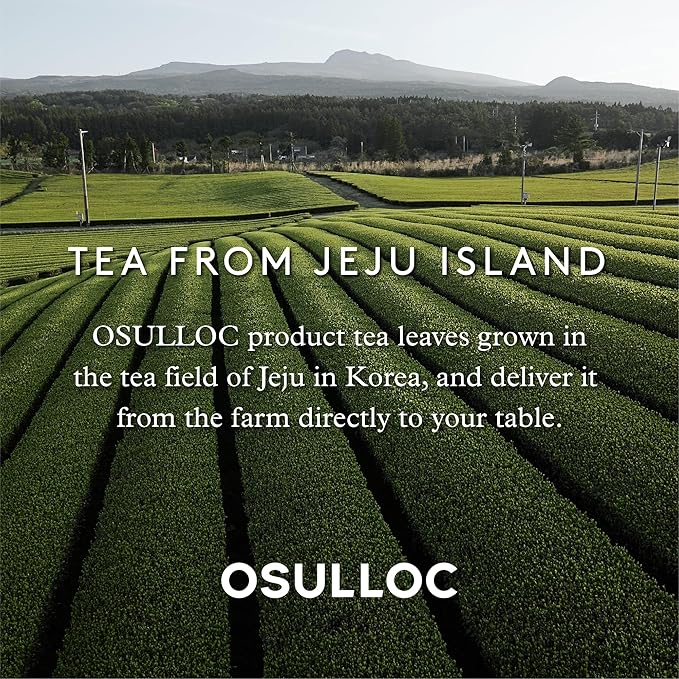 OSULLOC Honey Pear Tea (Sweet Pear & Honey Flavor), Fruit tea Blend, Premium Teabags from Jeju Island, 20 count (Pack of 2)