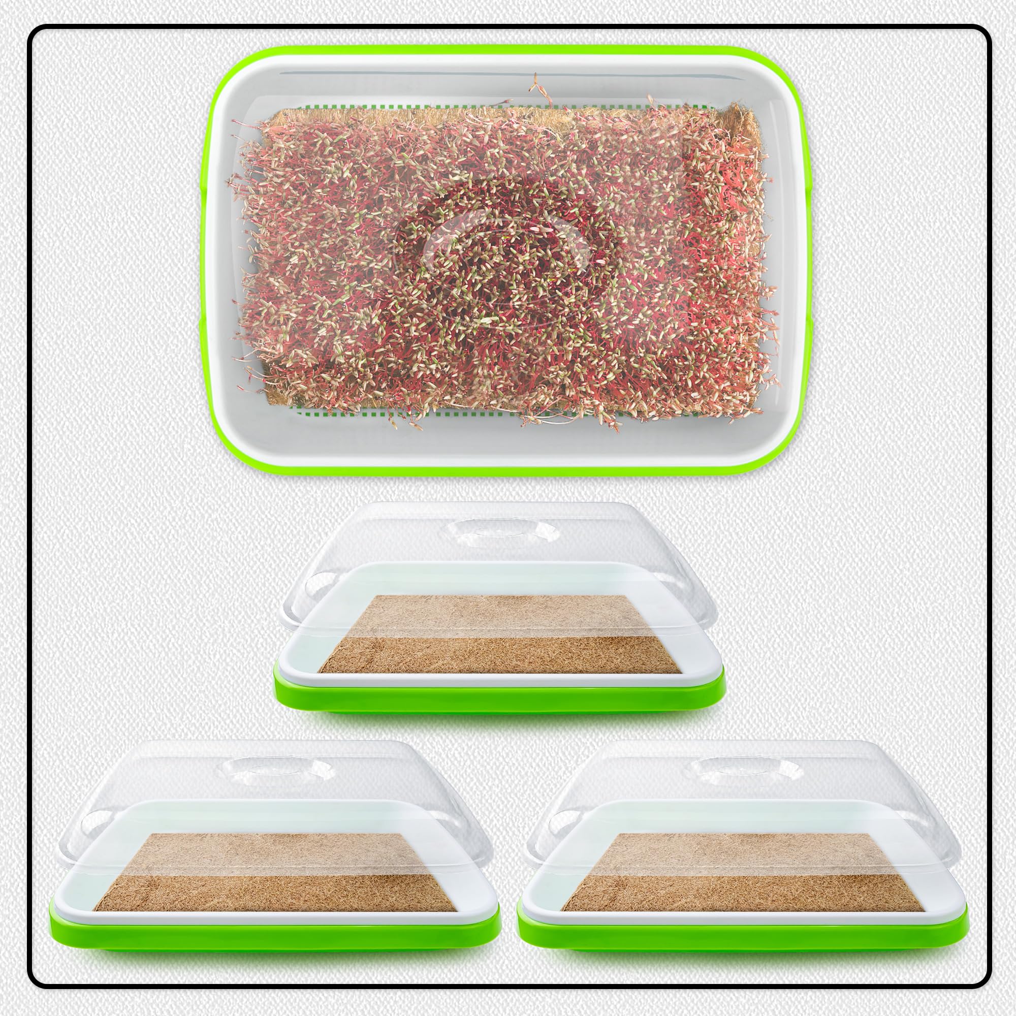 Microgreens Growing Trays with Lids and Coconut Fiber Mat,Seed Sprouter Tray with Drain Holes,Seed Starter Tray Reusable,Microgreens Growing Trays,Cat Grass Growing Kit for Indoor Cats (Pack 3)
