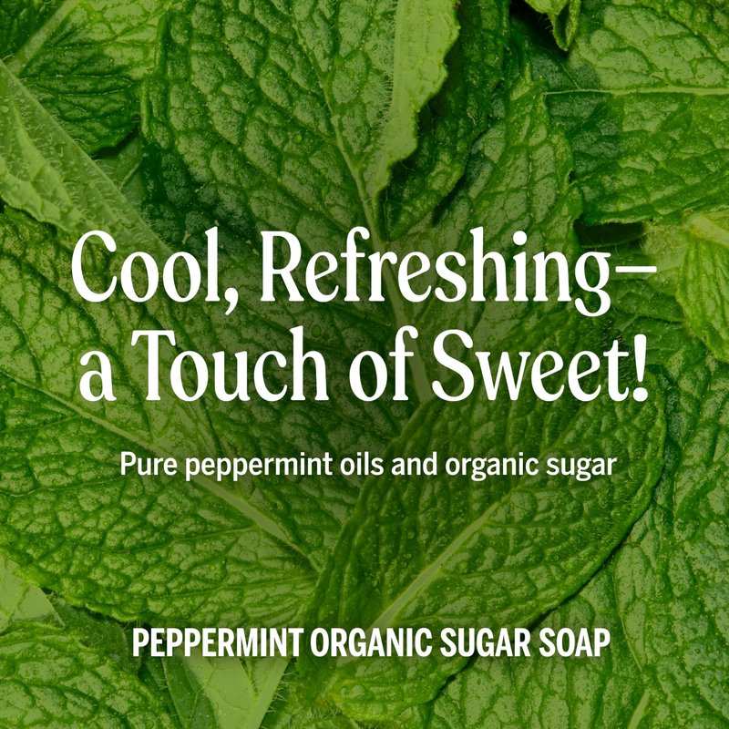 Dr. Bronner's - Organic Sugar Soap (Peppermint, 24 Ounce) - Made with Organic Oils, Sugar & Shikakai Powder, 4-in-1 Uses: Hands, Body, Face & Hair, Cleanses, Moisturizes & Nourishes, Vegan