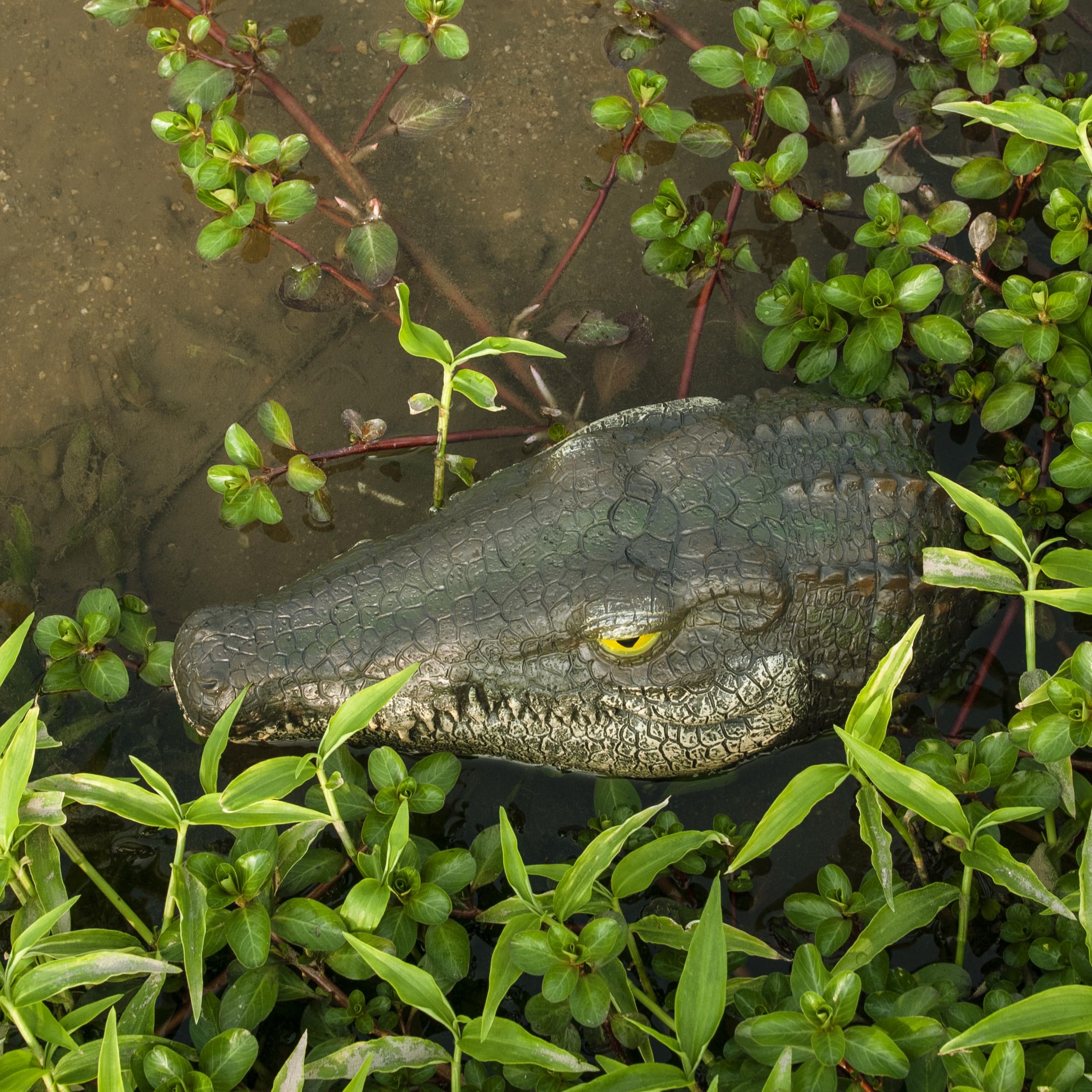 Floating Alligator Head Pond Decor, Realistic Crocodile Head Pool Ornament