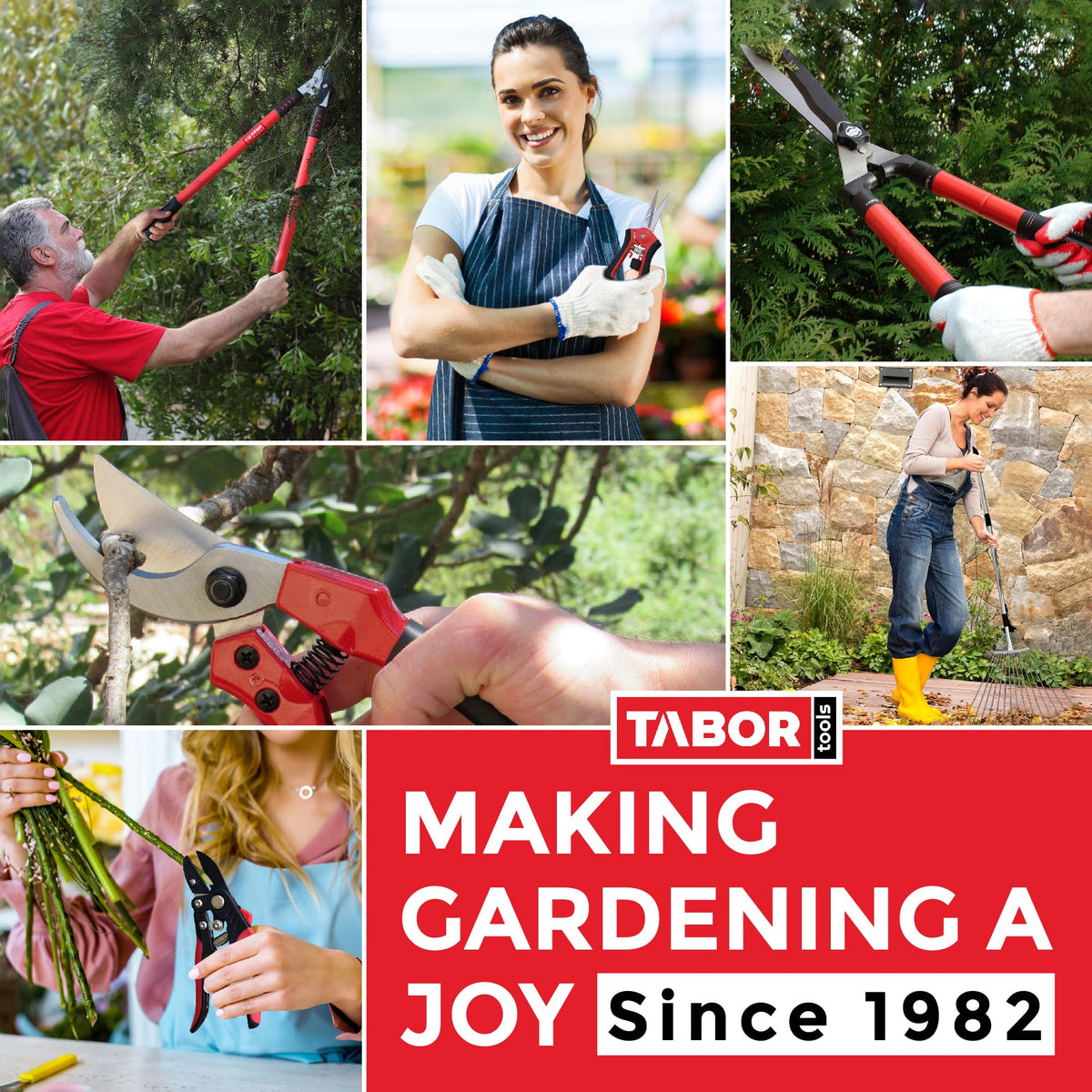 TABOR TOOLS GG21A Extendable Bypass Lopper with Compound Action, 27-40 Inch Telescopic Tree Trimmer & Branch Cutter, Long Reach Tree Pruner with 1 1/2 Inch Cut Capacity, Makes Clean Neat Cuts