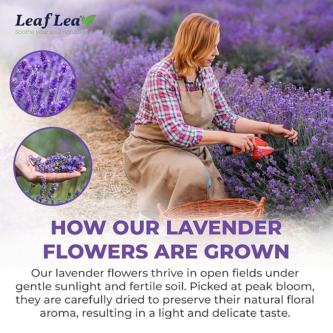 LeafLea 40 Premium Lavender Tea Bags, Natural Lavender Flowers, Lavendar Herbal Tea with Delicate Floral Aroma & Smooth Flavor, Relaxing Evening Infusion, No Caffeine, No Sugar, Individually Wrapped