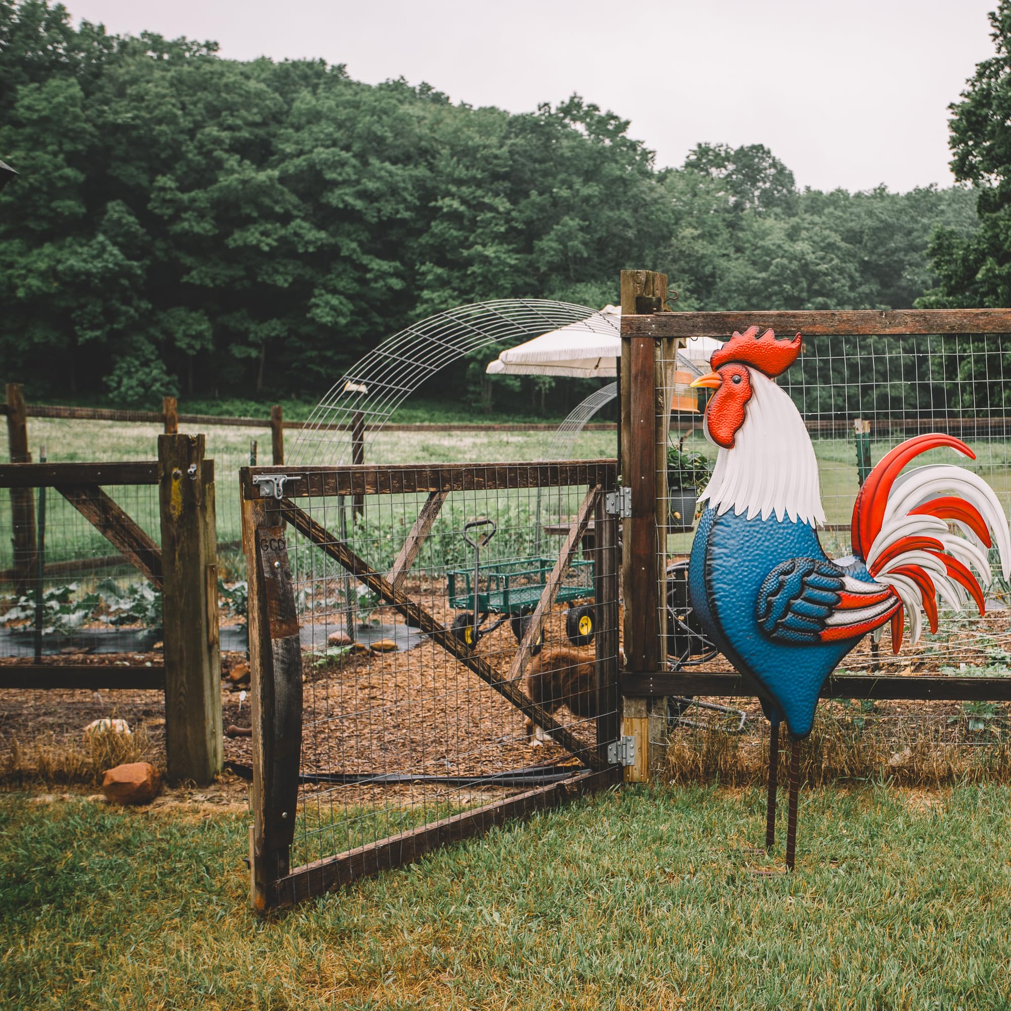 Backyard Expressions Rooster Décor Garden Statue - Chicken Yard Art Sculpture Outdoor - 63 Inch (Patriotic)