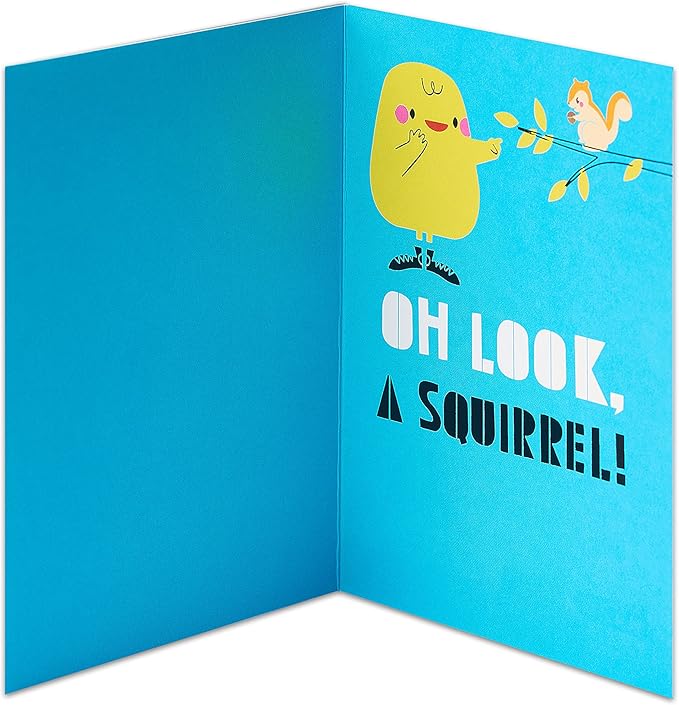 American Greetings Funny Birthday Card (Distracted Squirrel)