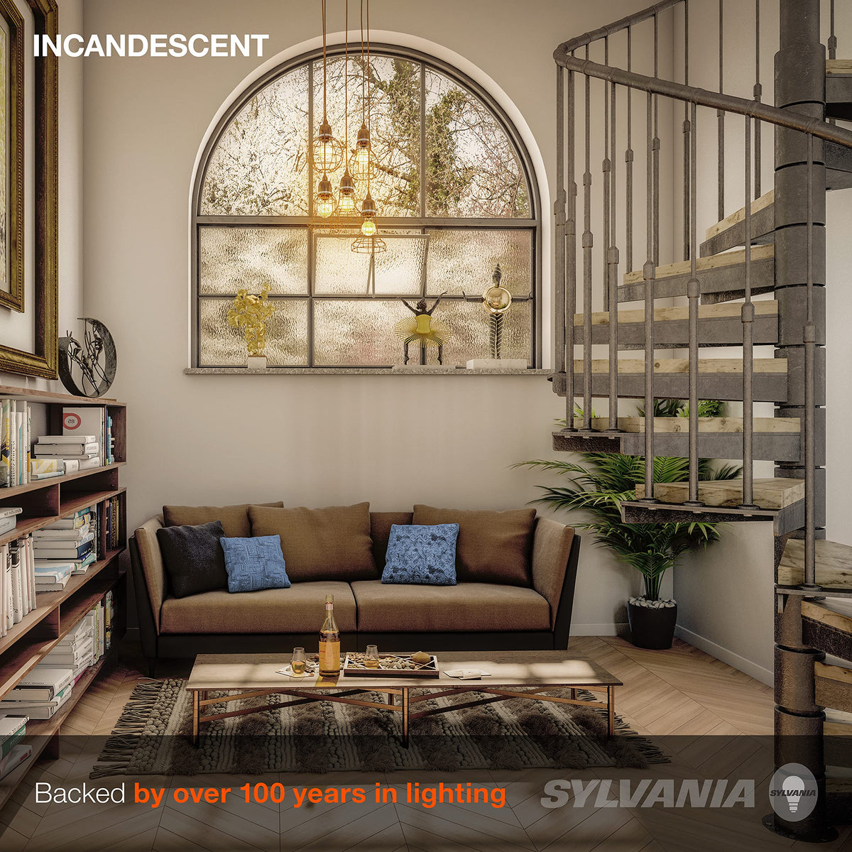 Sylvania 40 Watt Vanity Light Bulbs 6 Pack - Incandescent E26 Medium Base Globe Bulbs for Bathroom, Dimmable G25 Type G Round Vanity Bulbs 40W, 130V Clear Warm White