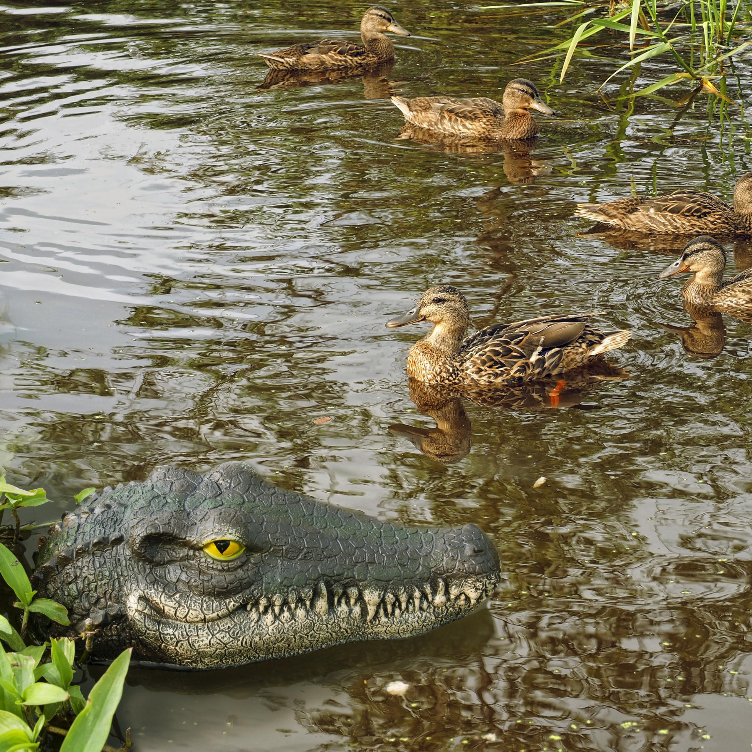 Floating Alligator Head Pond Decor, Realistic Crocodile Head Pool Ornament