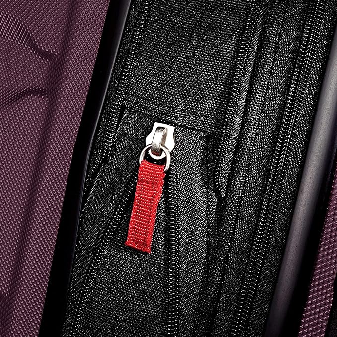 Samsonite Omni PC Hardside Expandable Luggage with Spinner Wheels, Purple, Carry-On 20-Inch