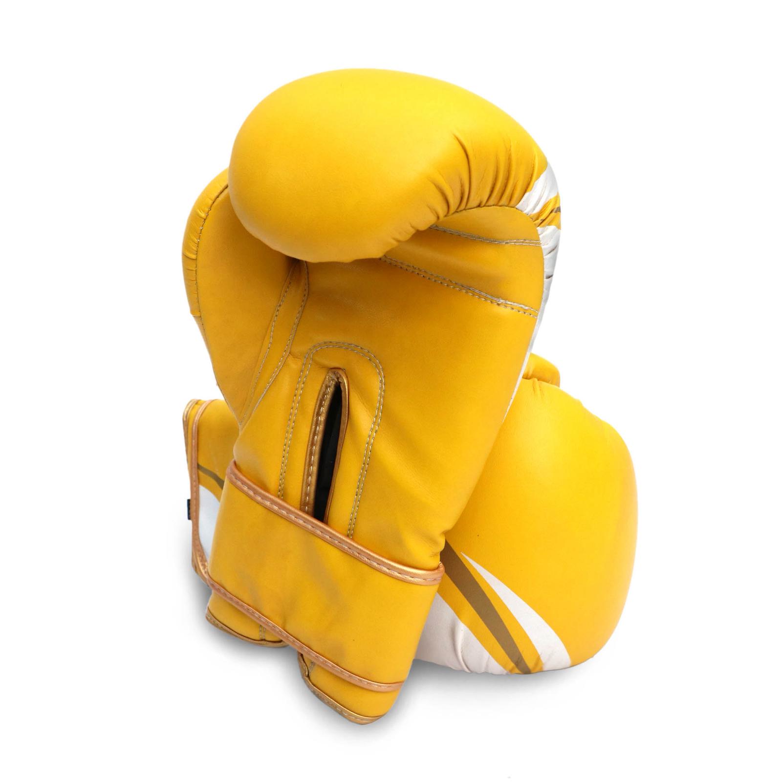 Dabangg Boxing Gloves