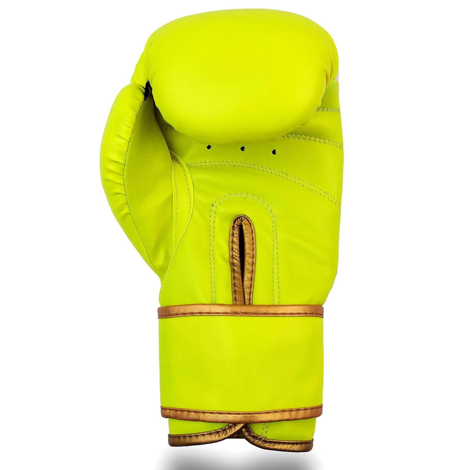 Dabangg Boxing Gloves