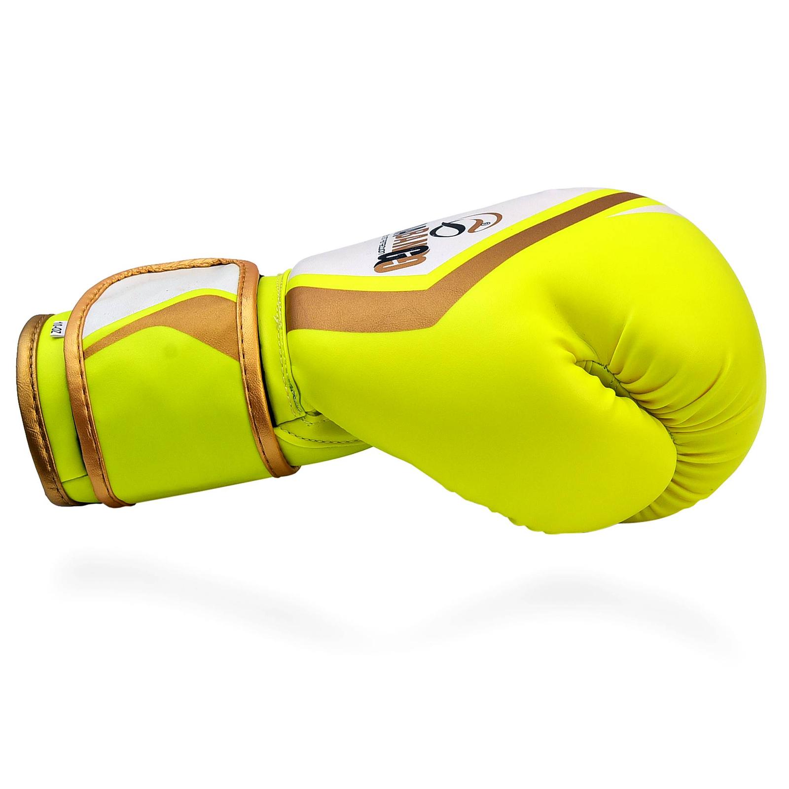 Dabangg Boxing Gloves