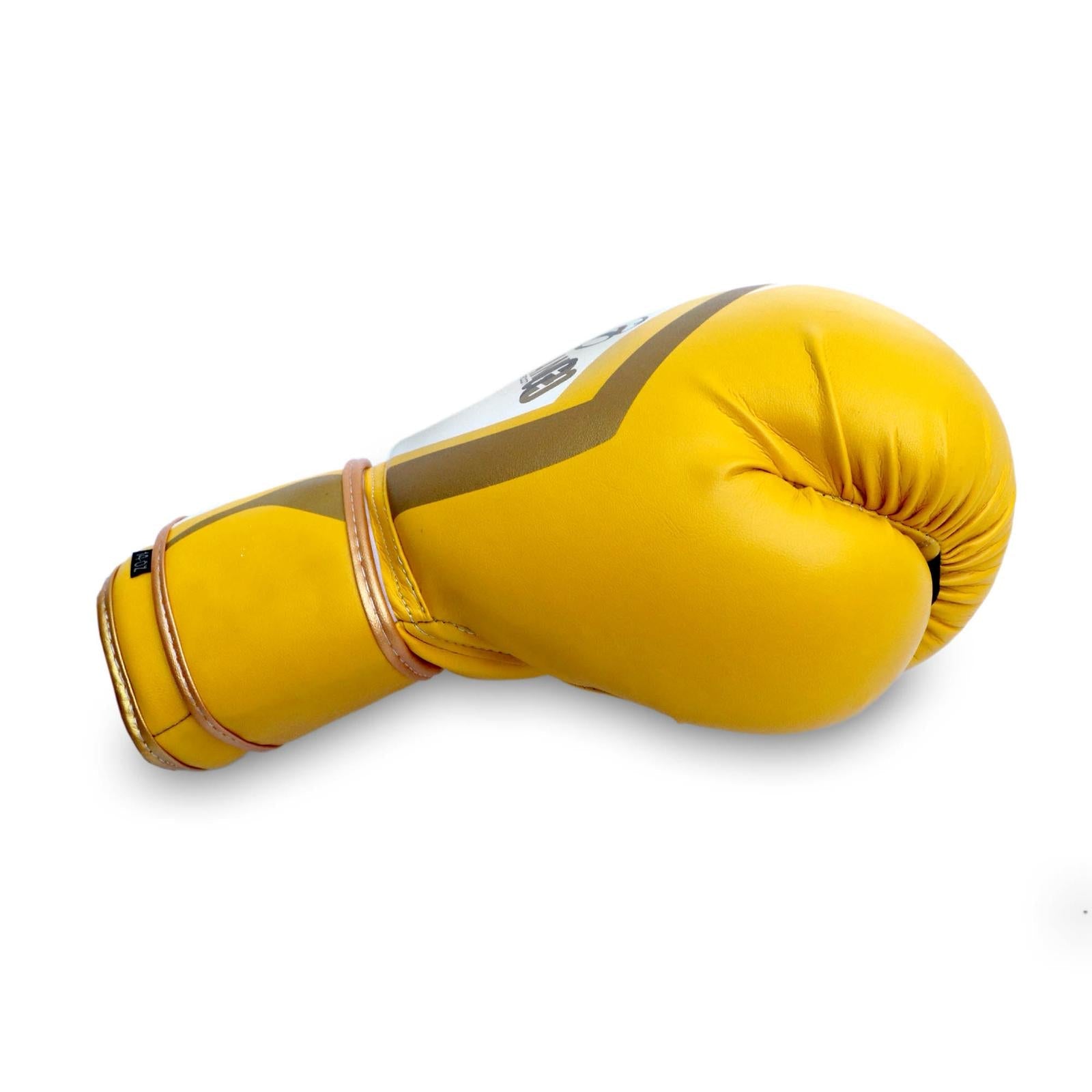 Dabangg Boxing Gloves