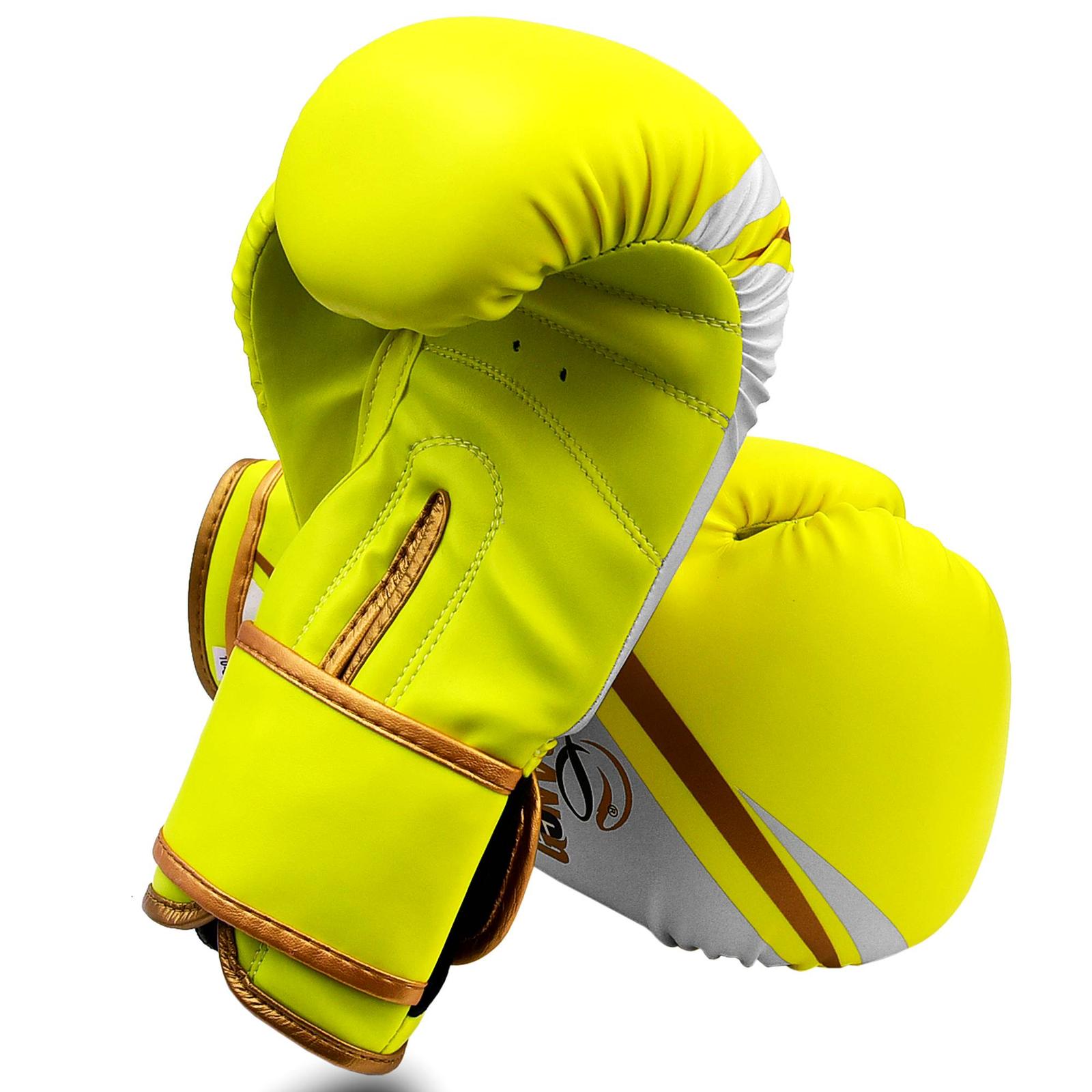 Dabangg Boxing Gloves