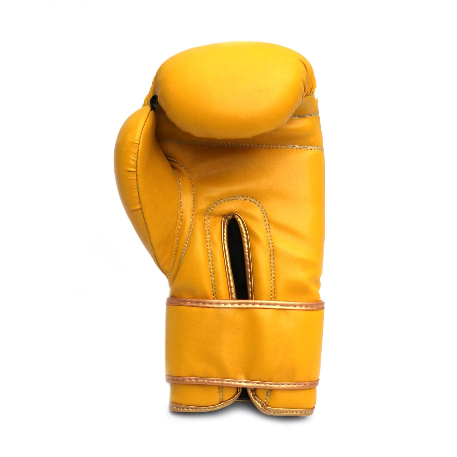 Dabangg Boxing Gloves